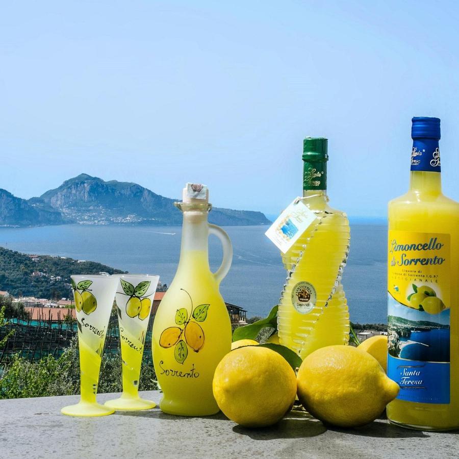 B&B Mamma Sorrento Holidays Exterior foto